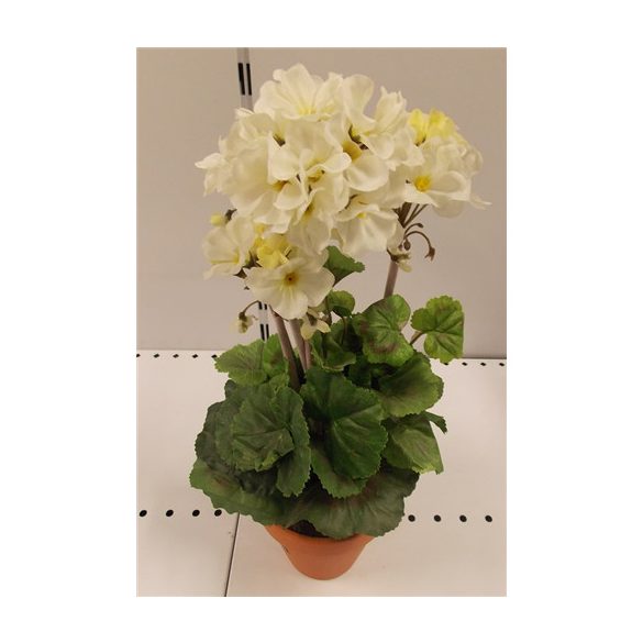 Muskátli fehér ültetett műa. cserépben