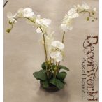   Orchidea ültetett 4 szálas textil üvegkaspóban krém 70-80cm