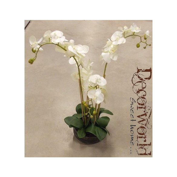 Orchidea ültetett 4 szálas textil üvegkaspóban krém 70-80cm
