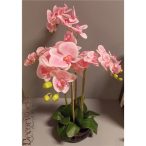   Orchidea ültetett 4 szálas gumi üvegkaspóban rózsaszín 75-80cm