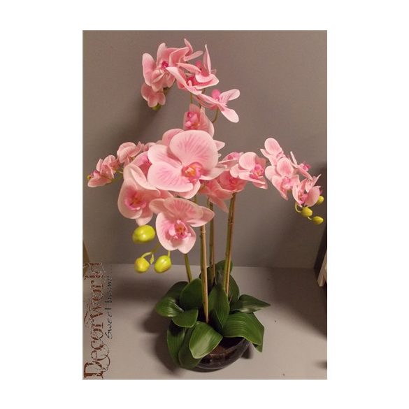 Orchidea ültetett 4 szálas gumi üvegkaspóban rózsaszín 75-80cm