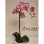   Phalaenopsis Orchidea ültetett kerámia kaspóban 1 szálas gumi v.lila