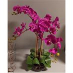   Orchidea ültetett 4 szálas gumi üvegkaspóban ciklámen/lila 75-80cm