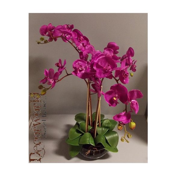 Orchidea ültetett 4 szálas gumi üvegkaspóban ciklámen/lila 75-80cm