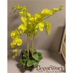   Orchidea ültetett 4 szálas gumi üvegkaspóban élénk almazöld 75-80cm