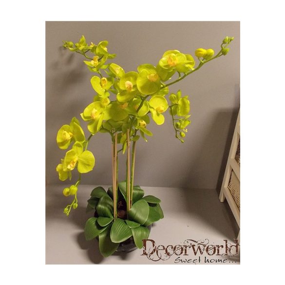 Orchidea ültetett 4 szálas gumi üvegkaspóban élénk almazöld 75-80cm