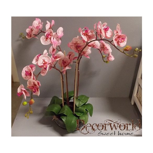 Orchidea ültetett 4 szálas gumi üvegkaspóban rózsaszín/magenta foltos 75-80cm