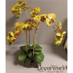   Orchidea ültetett 4 szálas textil üvegkaspóban oliva-zöld, pöttyös 60-70cm