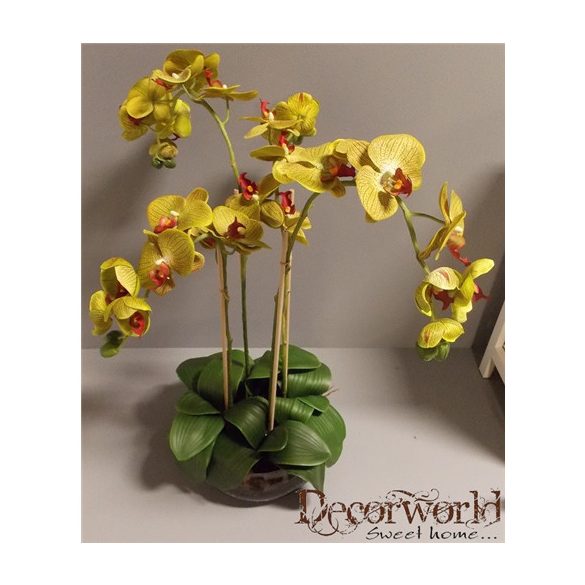 Orchidea ültetett 4 szálas textil üvegkaspóban oliva-zöld, pöttyös 60-70cm