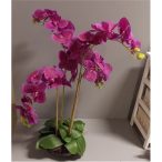   Orchidea ültetett 4 szálas gumi üvegkaspóban lila 75-80cm