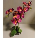   Phalaenopsis Orchidea ültetett cserépben 2 szálas textil padlizsán barack középpel 70-75cm