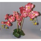   Phalaenopsis Orchidea ültetett cserépben 2 szálas textil mályva 60-70cm