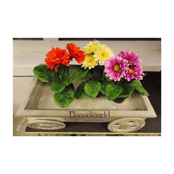 Gerbera bokor ültetett - Több színben