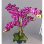   Phalaenopsis Orchidea ültetett cserépben 4 szálas gumi lila 80-90cm