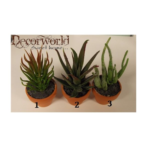 Pozsgás mix művirág dupla ültetett cserépben