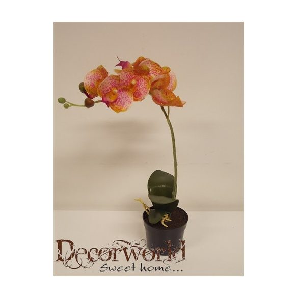 Gumi phalaenopsis orchidea ültetett pink pöttyös 45cm