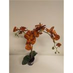   Phalaenopsis Orchidea ültetett cserépben 2 szálas textil okker narancs 60-70cm