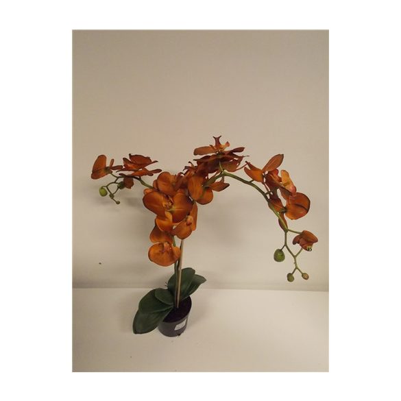 Phalaenopsis Orchidea ültetett cserépben 2 szálas textil okker narancs 60-70cm