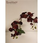   Phalaenopsis Orchidea ültetett cserépben 2 szálas textil bordó 60-70cm