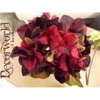 Hortenzia cirmos bordó lila