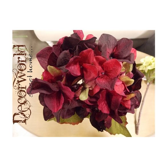 Hortenzia cirmos bordó lila