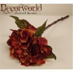 Hortenzia cirmos bordó barack