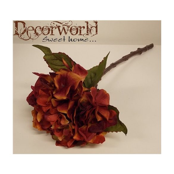 Hortenzia cirmos bordó barack