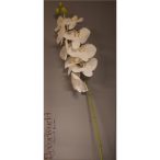 Orcidea gumi 140cm fehér