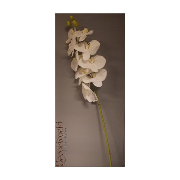 Orcidea gumi 140cm fehér
