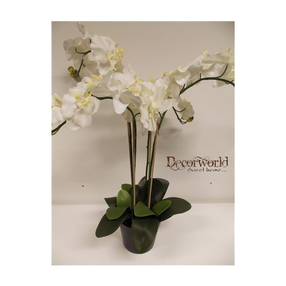 Phalaenopsis Orchidea ültetett cserépben 4 szálas textil fehér