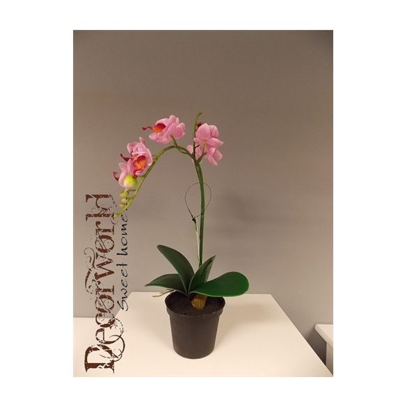 Phalaenopsis Mix Rózsaszín