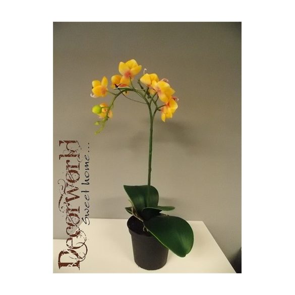 Phalaenopsis Mix Sárga