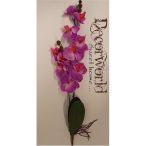 Phalaenopsis Orchidea gyökeres textil - Pink