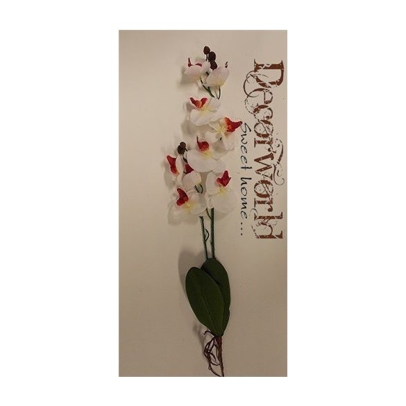 Phalaenopsis Orchidea gyökeres textil Fehér