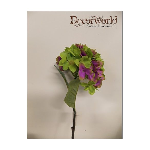 Selyemvirág hortenzia Zöld-lila