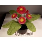 Százszorszép bokor 20cm pink