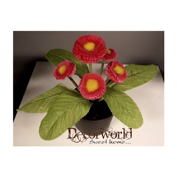 Százszorszép bokor 20cm pink