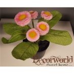 Százszorszép bokor 20cm rózsaszín