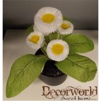 Százszorszép bokor 20cm fehér