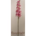 Gumi phalaenopsis orchidea hosszú pink