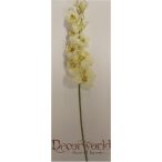 Gumi phalaenopsis orchidea hosszú krém-zöld