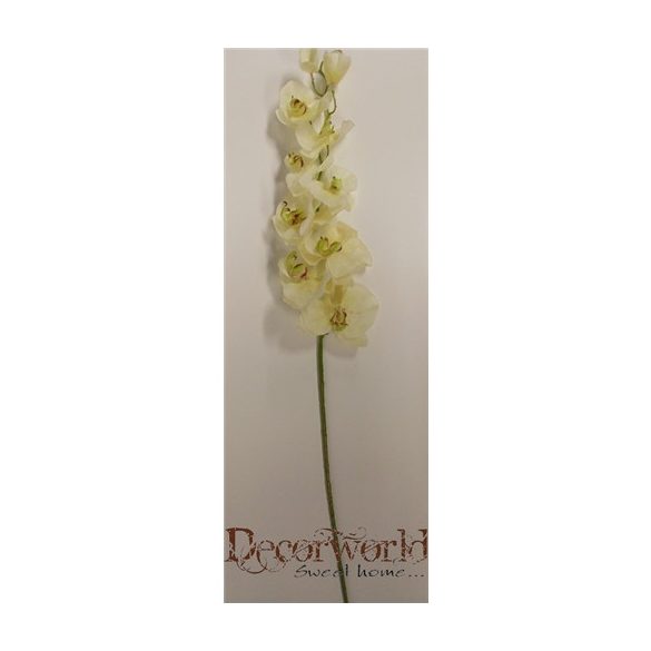 Gumi phalaenopsis orchidea hosszú krém-zöld