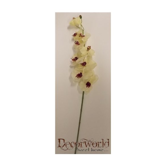 Gumi phalaenopsis orchidea hosszú krém-bordó