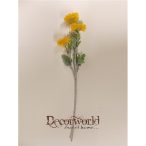 Százszorszép szál sárga