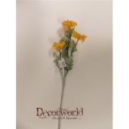 Százszorszép szál sárga-narancs