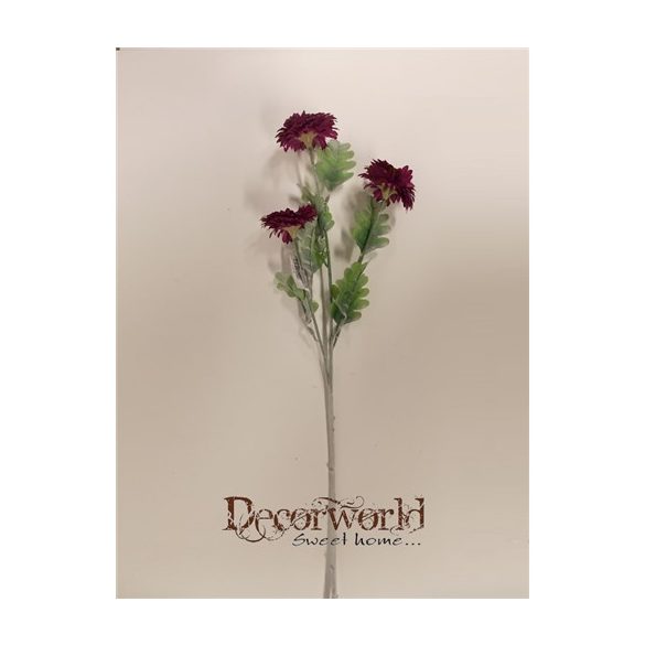 Százszorszép szál bordó