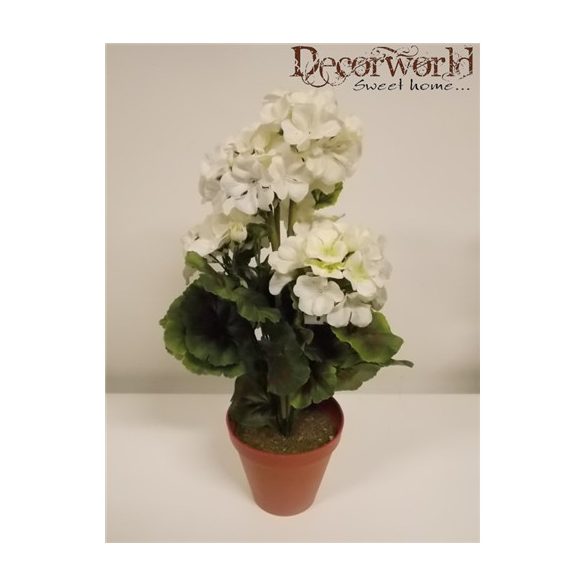 Cserepes muskátli fehér 40cm