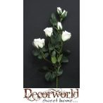 Élethű rózsaág fehér