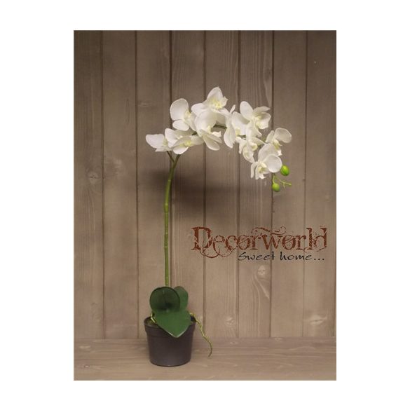 Phalaenopsis 1 szálas "natural touch" 50cm