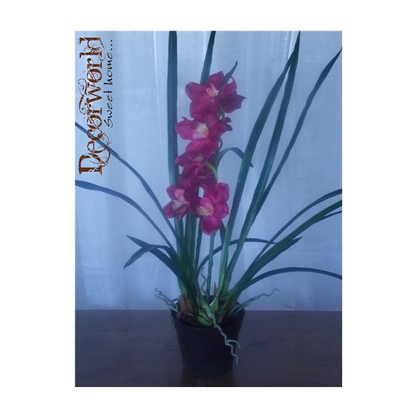 Cymbidium Orhidea ültetett 75cm ciklámen